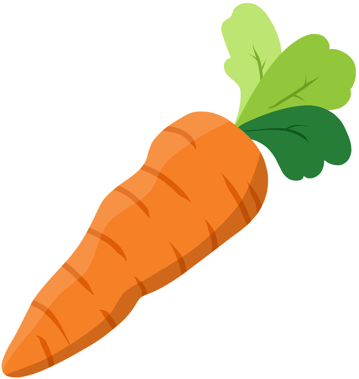 Carrot
